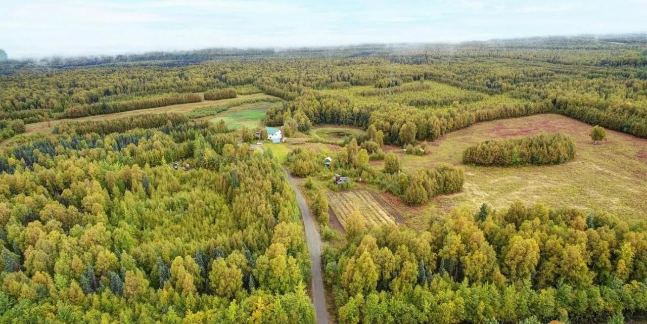 Falcon'S Nest Bed And Breakfast Talkeetna Exterior foto