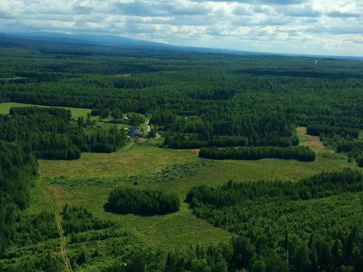 Falcon'S Nest Bed And Breakfast Talkeetna Exterior foto