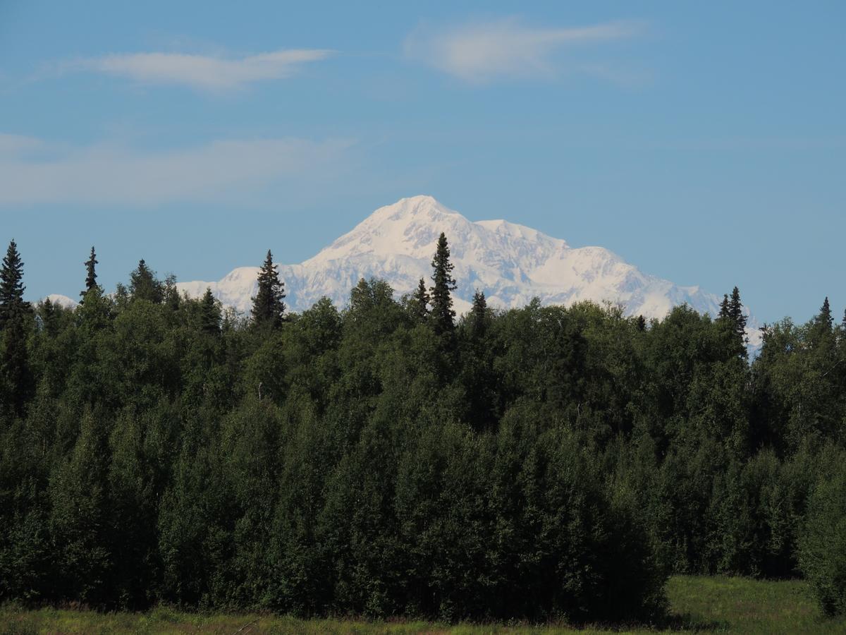 Falcon'S Nest Bed And Breakfast Talkeetna Exterior foto